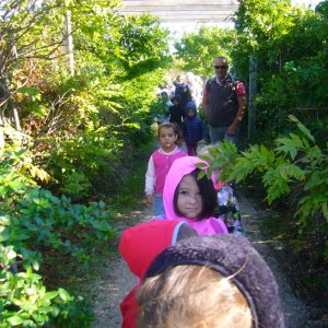 parcours botanique de l'Epervière